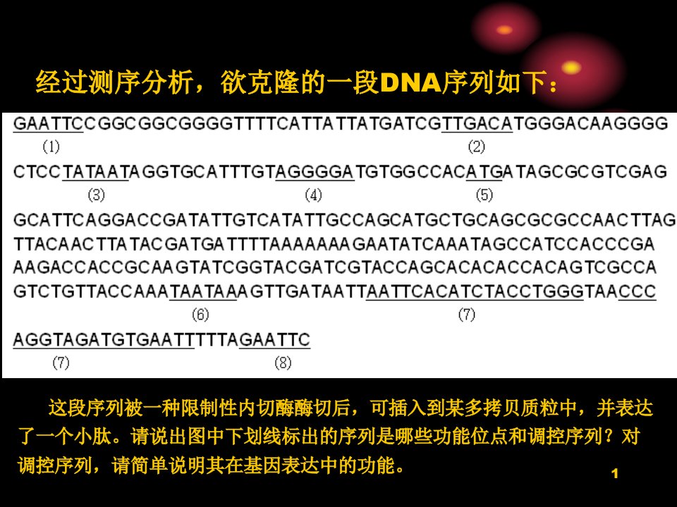 分子生物学习题