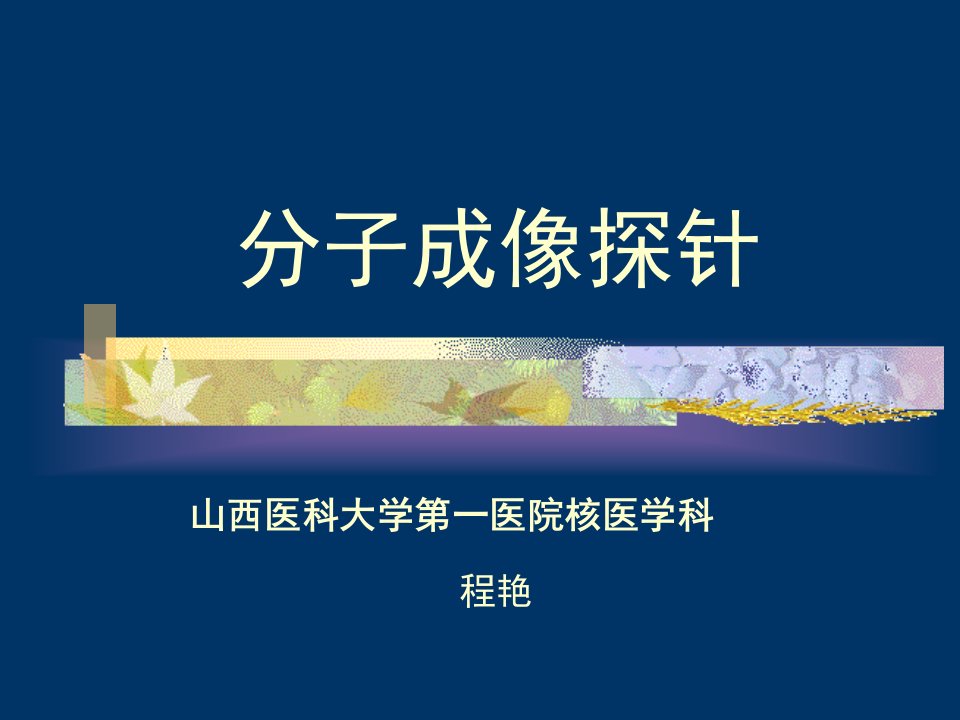 分子成像探针-课件(PPT讲稿)