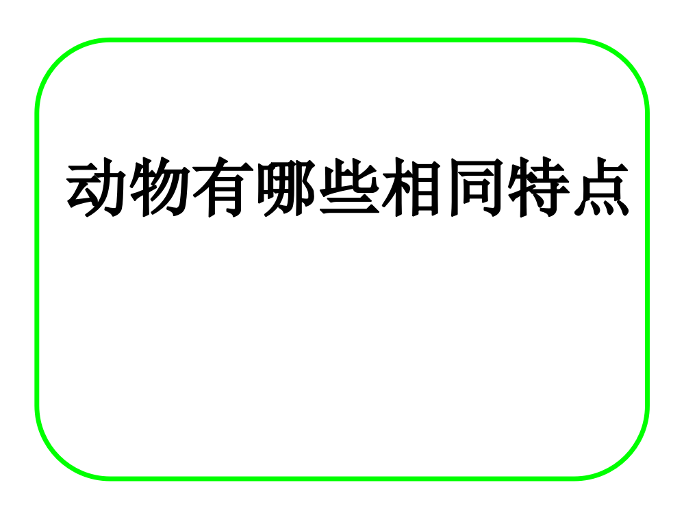 三年级上册科课件－2.7《动物有哪些相同特点》｜教科版　