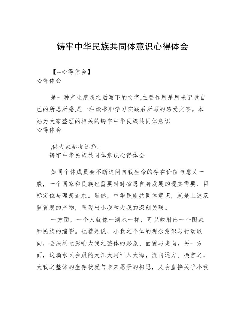 铸牢中华民族共同体意识心得体会