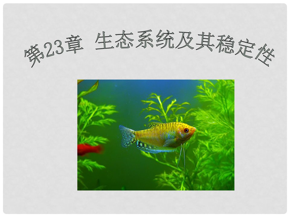 广东省南雄市澜河陈经纶学校八年级生物下册