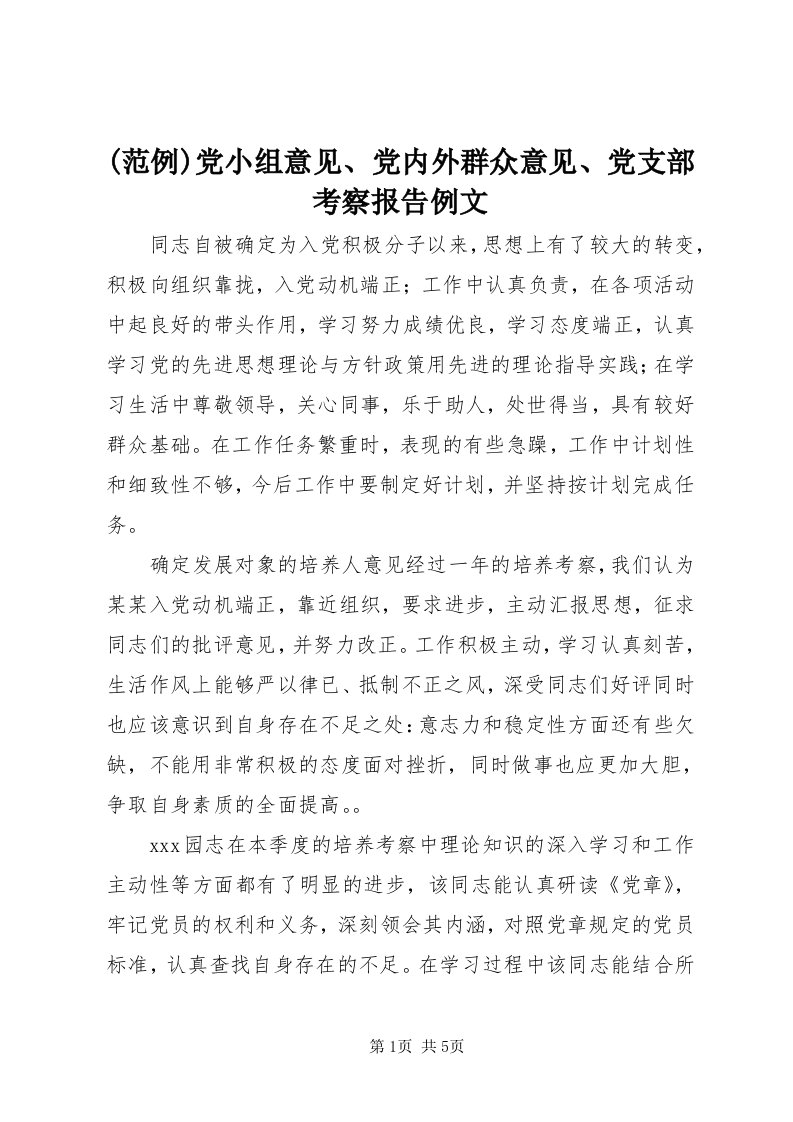 (范例)党小组意见、党内外群众意见、党支部考察报告例文