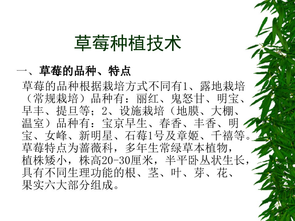 草莓种植技术-课件（PPT演示稿）