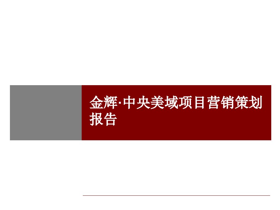 优派克思-合肥金辉·中央美域项目营销策划报告