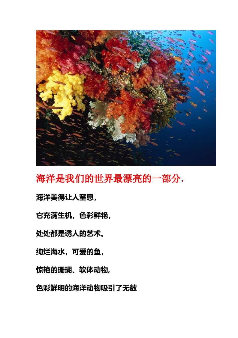 十大最美丽海洋生物图文照片