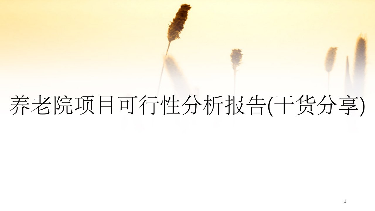 养老院项目可行性分析报告课件