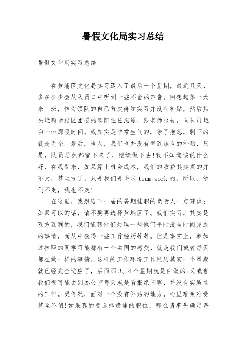 暑假文化局实习总结