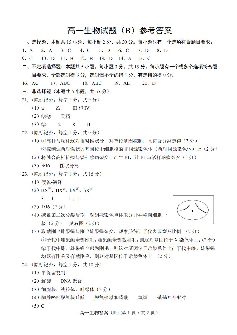 山东省菏泽市2020-2021学年高一生物下学期期中试题（B卷）答案