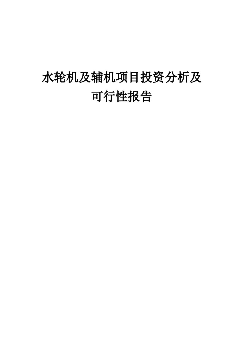 2024年水轮机及辅机项目投资分析及可行性报告