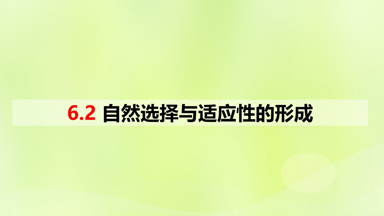 新教材同步备课2024春高中生物第6章生物的进化6.2自然选择与适应性的形成课件新人教版必修2