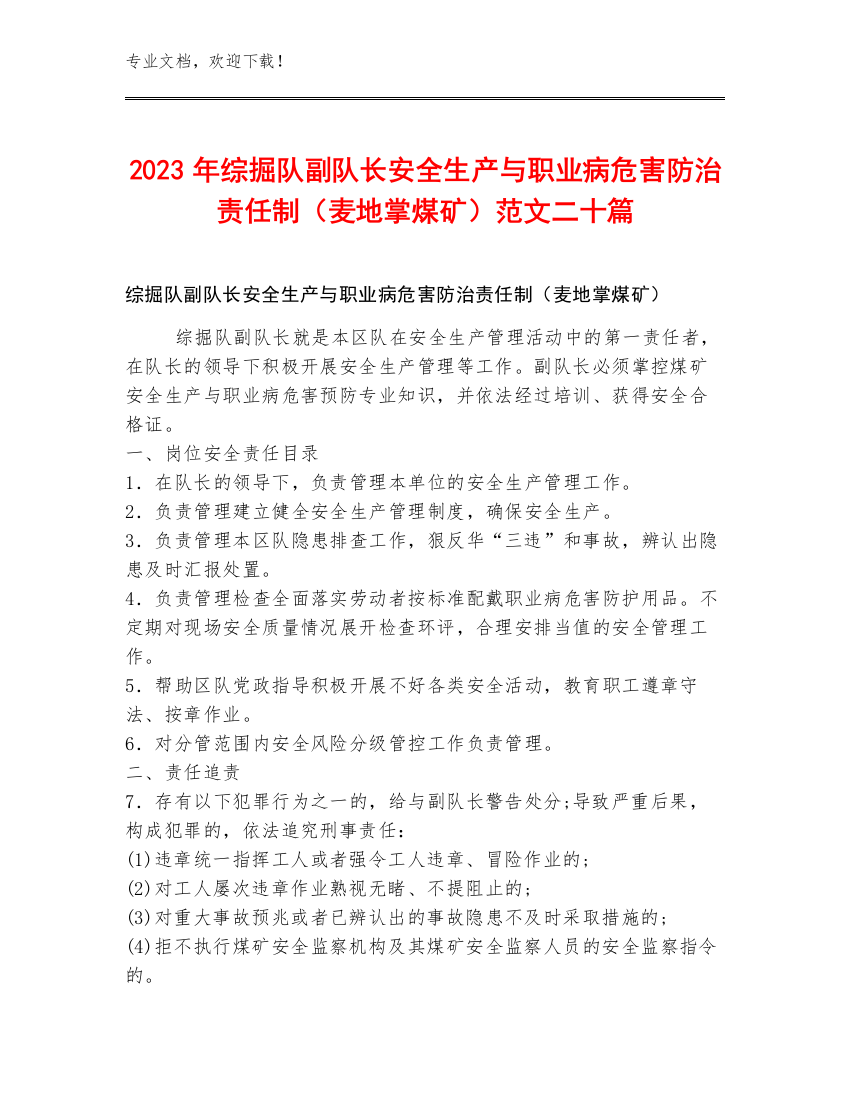 2023年综掘队副队长安全生产与职业病危害防治责任制（麦地掌煤矿）范文二十篇