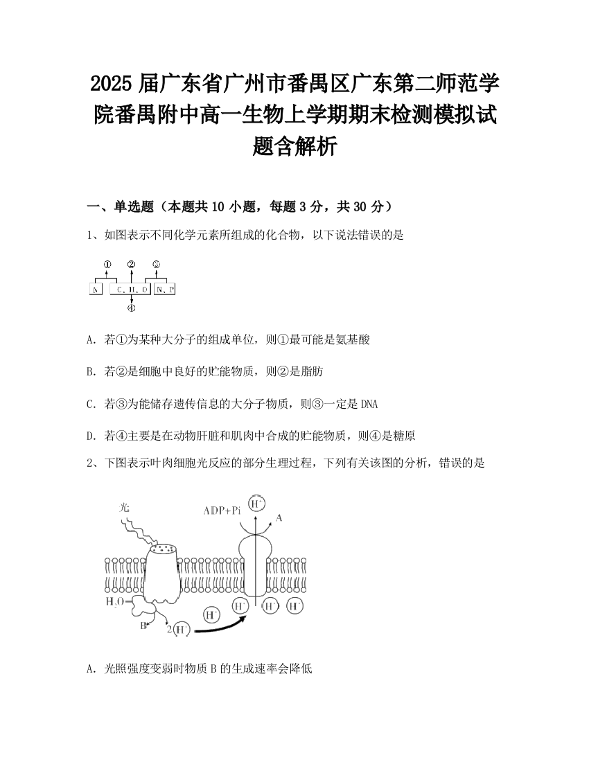 2025届广东省广州市番禺区广东第二师范学院番禺附中高一生物上学期期末检测模拟试题含解析