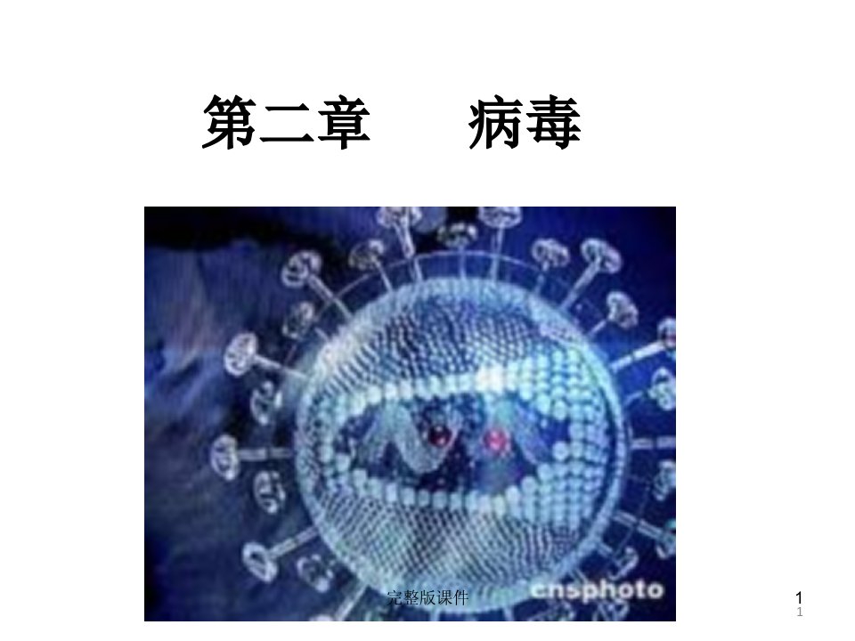 人教版初中生物八年级上册病毒课件