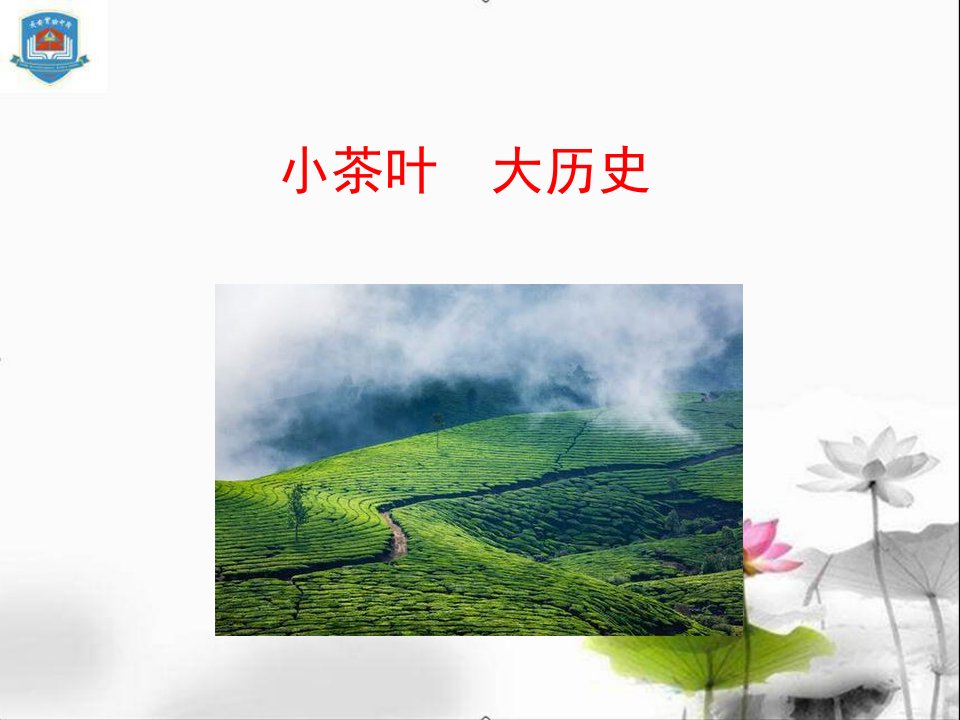 小茶叶--大历史课件