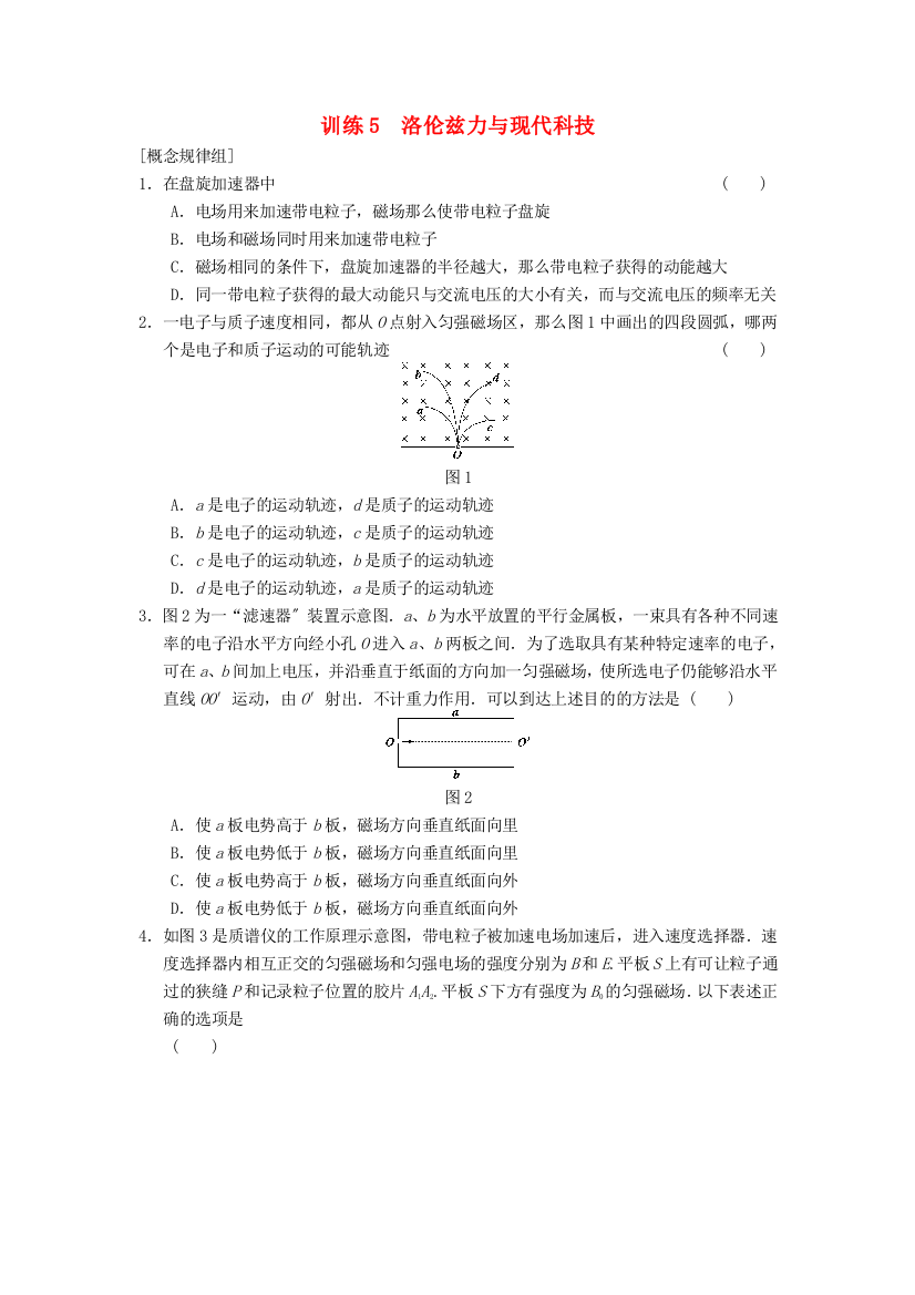 训练5　洛伦兹力与现代科技