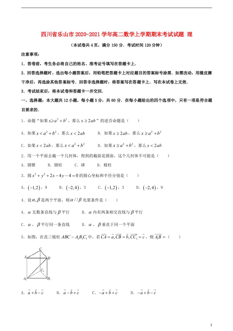 四川省乐山市2020_2021学年高二数学上学期期末考试试题理