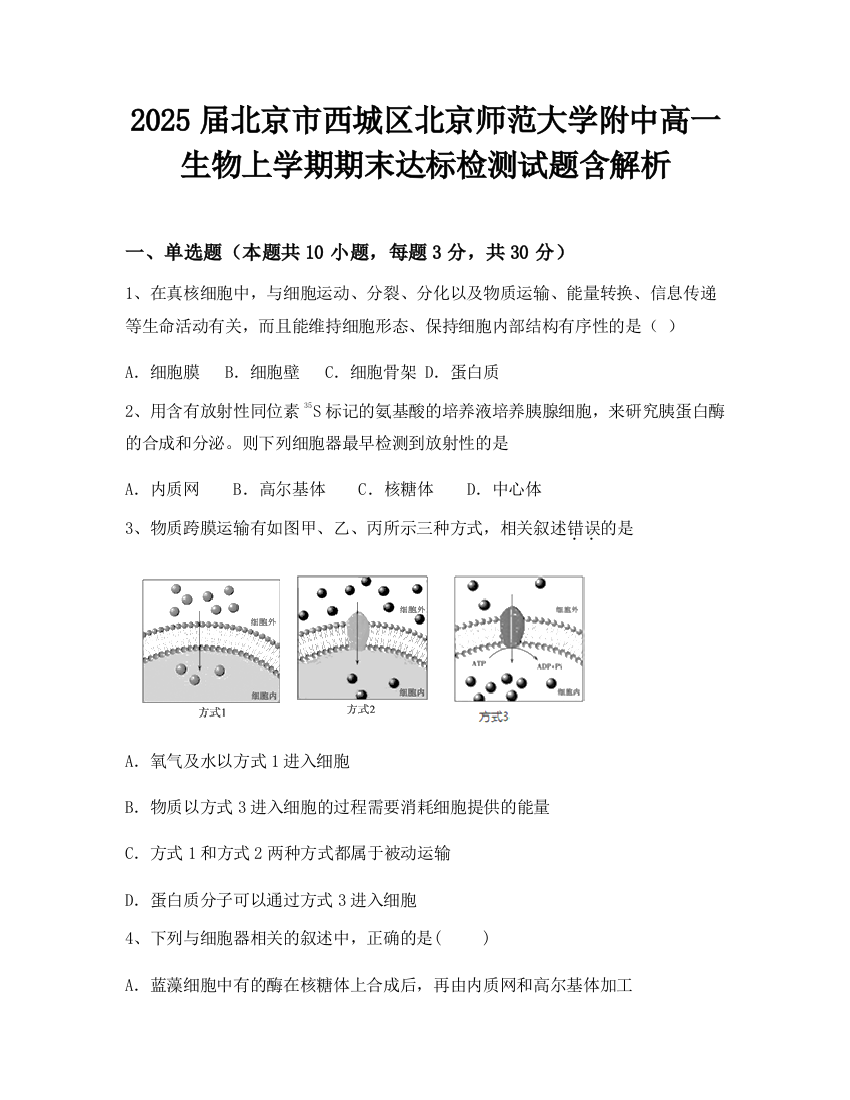 2025届北京市西城区北京师范大学附中高一生物上学期期末达标检测试题含解析