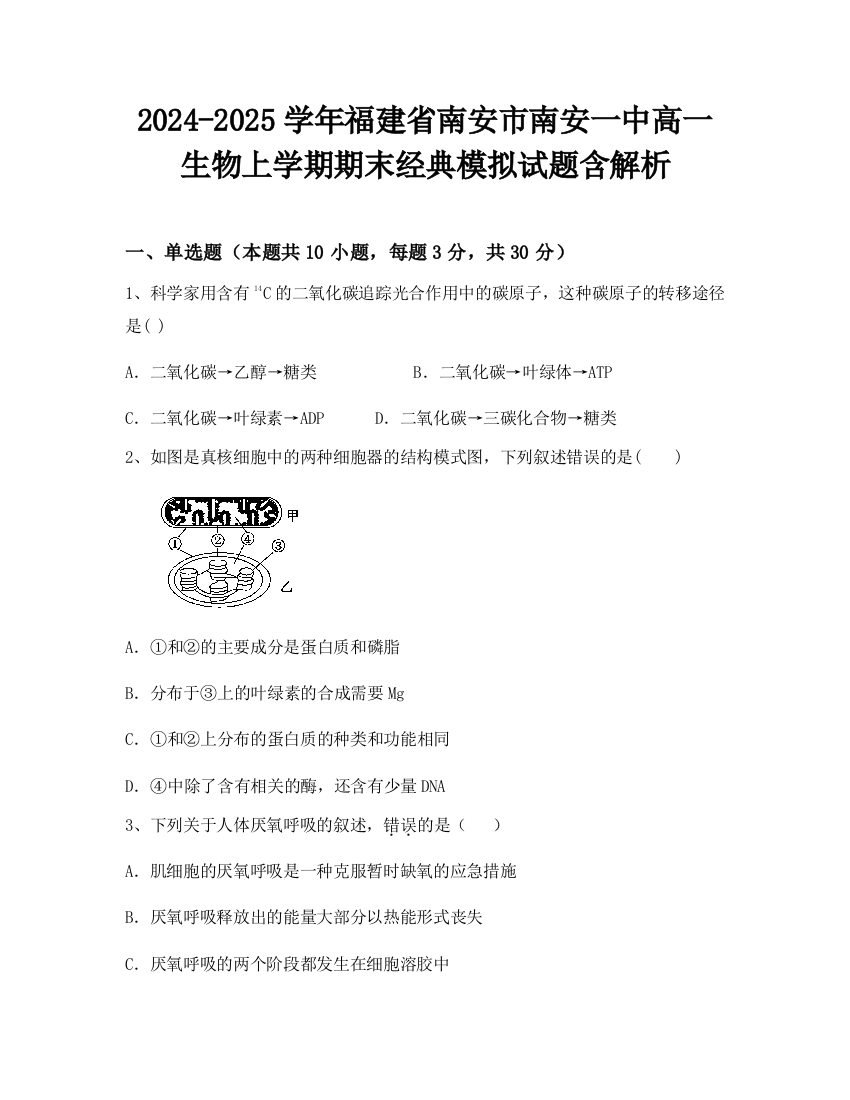 2024-2025学年福建省南安市南安一中高一生物上学期期末经典模拟试题含解析