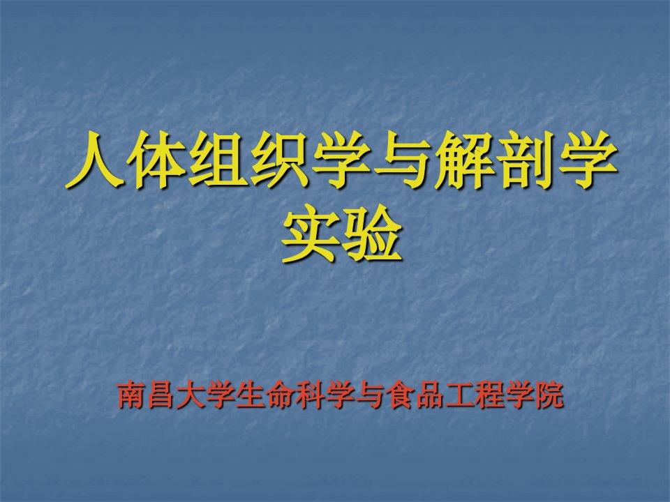 《内分泌系统实验》PPT课件