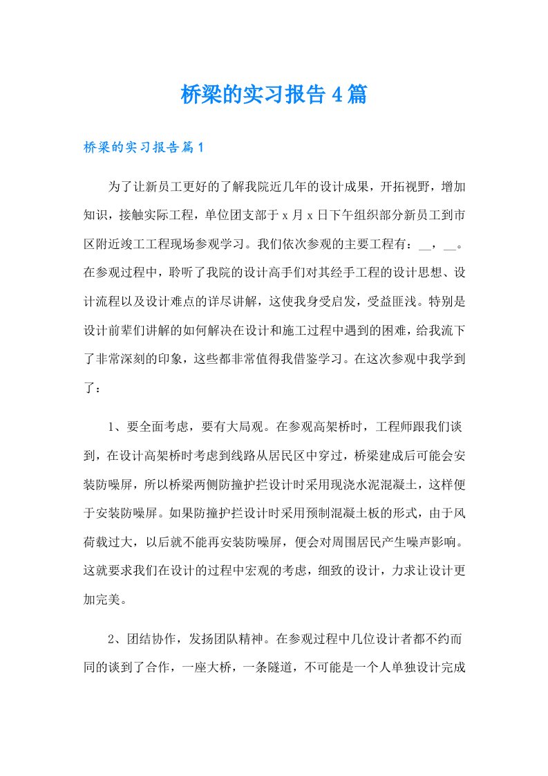 桥梁的实习报告4篇