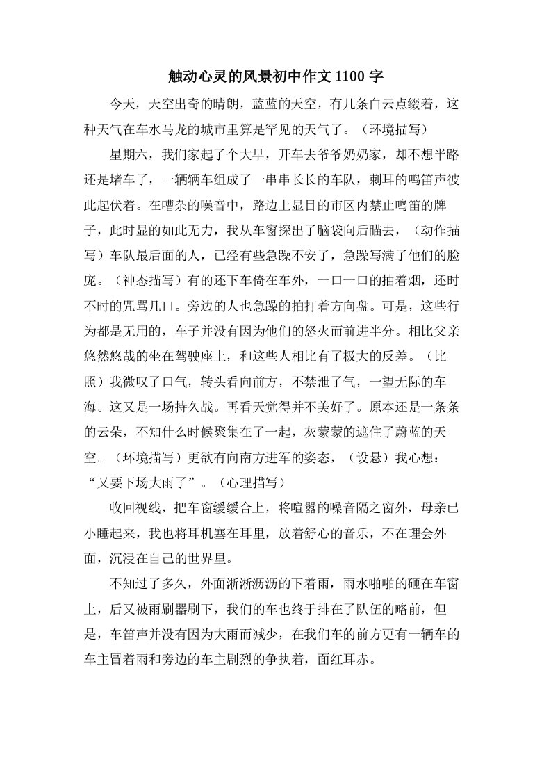 触动心灵的风景初中作文1100字