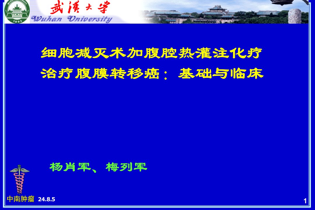 细胞减灭术加腹腔热灌注化疗治疗腹膜转移癌基础与临床ppt课件