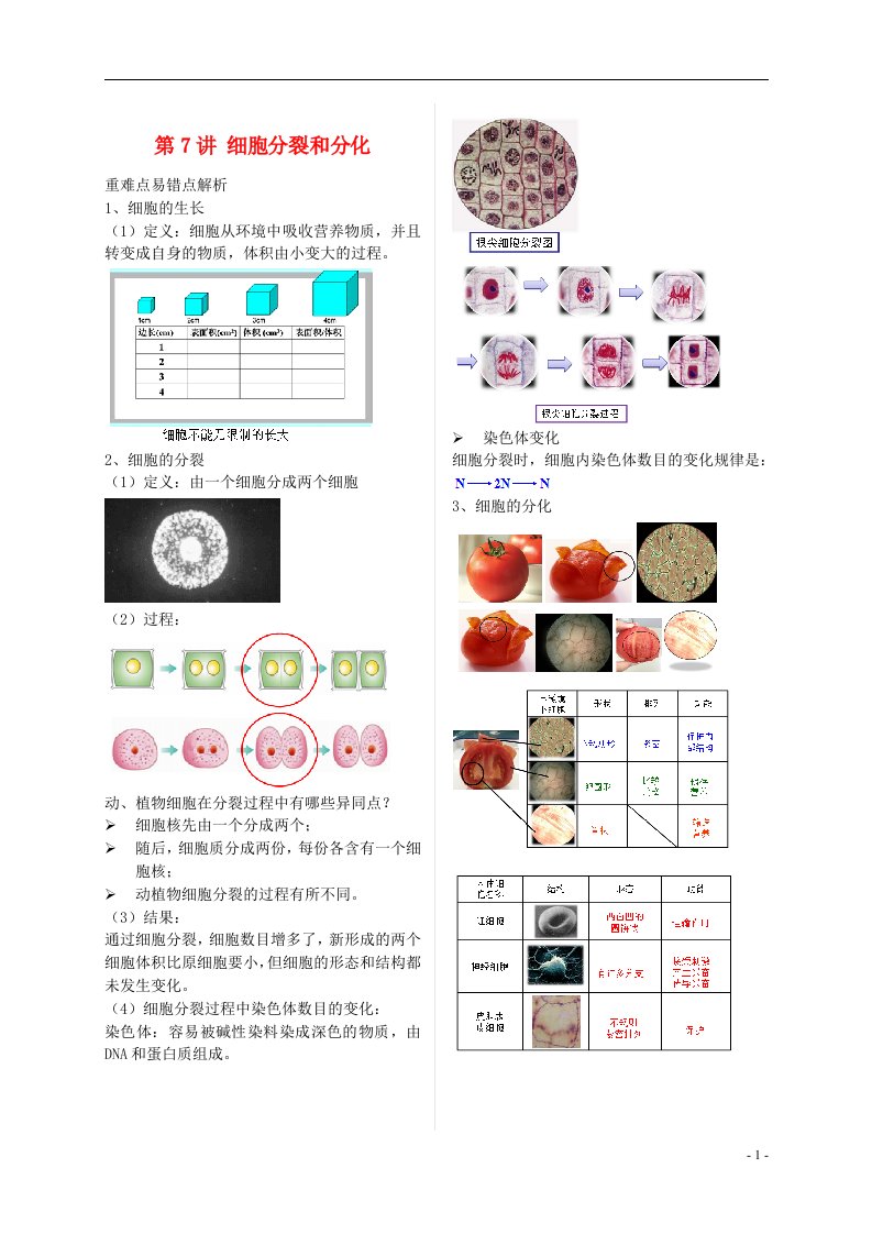 江苏省大丰市七年级生物上册