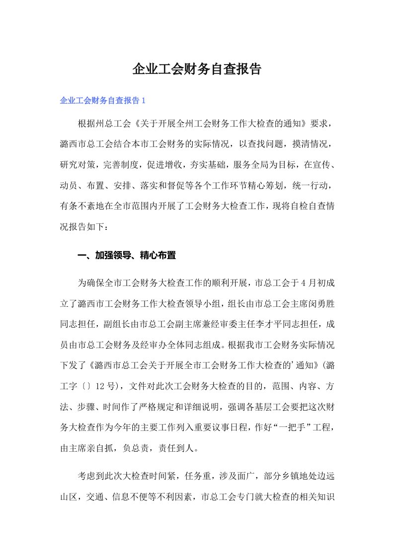 企业工会财务自查报告（可编辑）