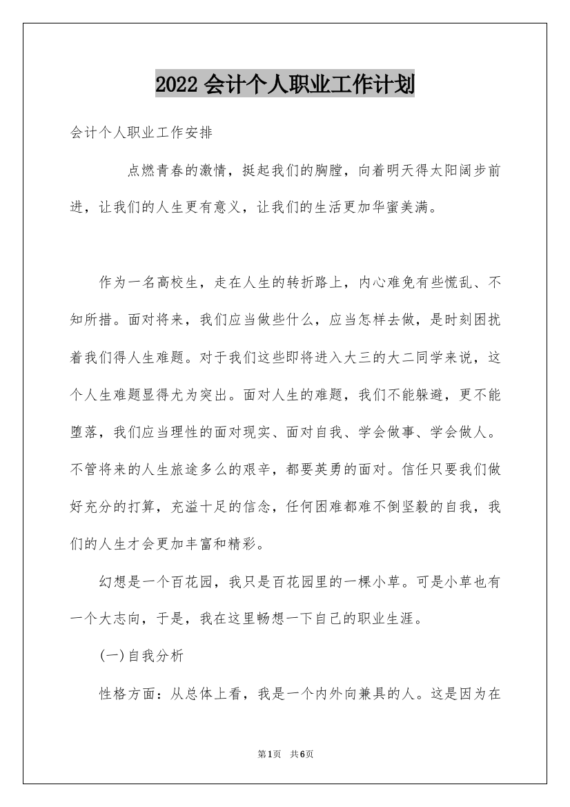 2022会计个人职业工作计划