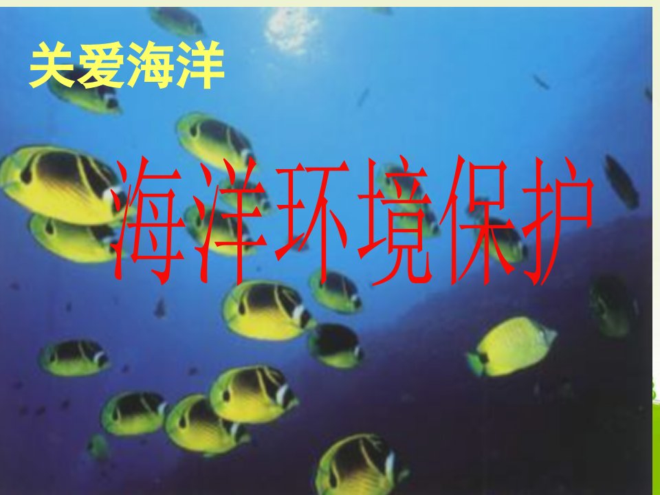 海洋环境保护课件