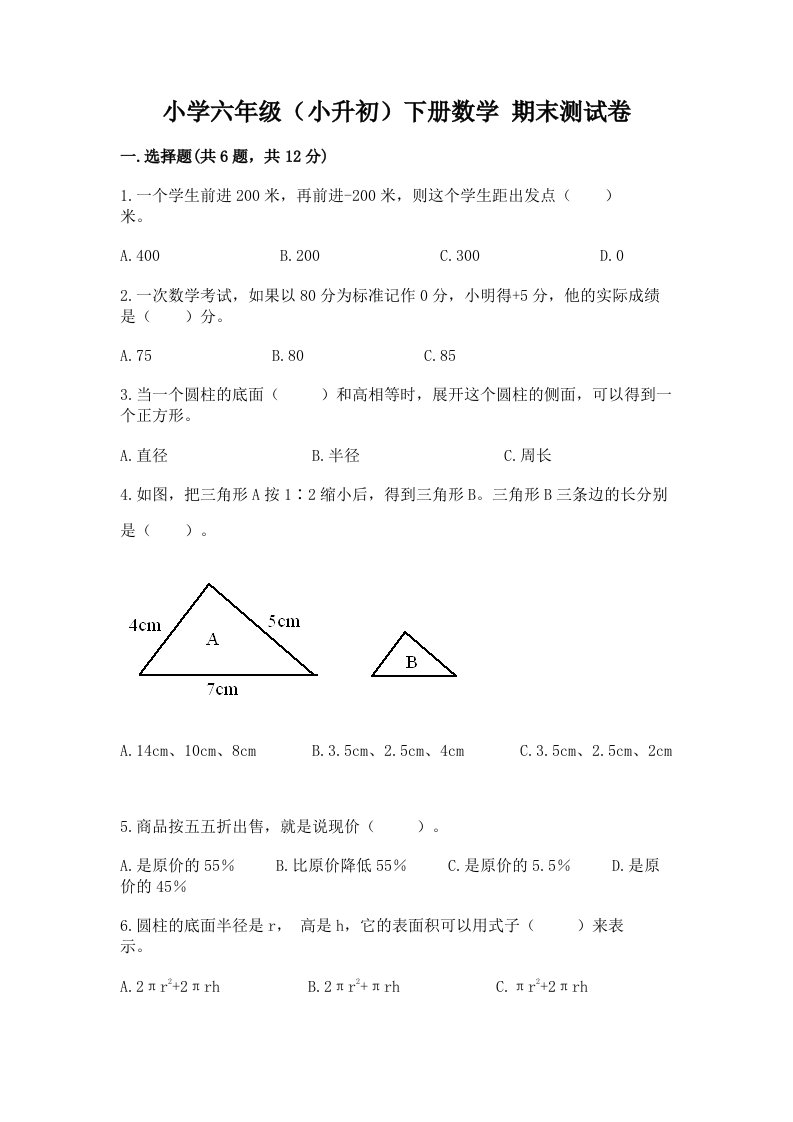 小学六年级（小升初）下册数学