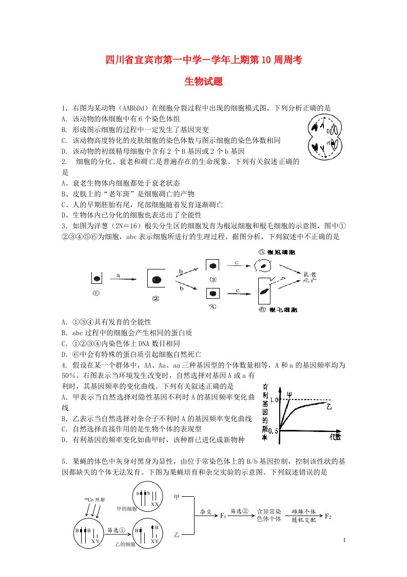 四川省宜宾市一中高三生物上学期第9周周考试题