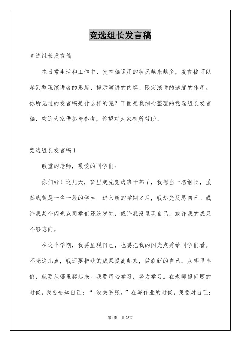 竞选组长发言稿例文1