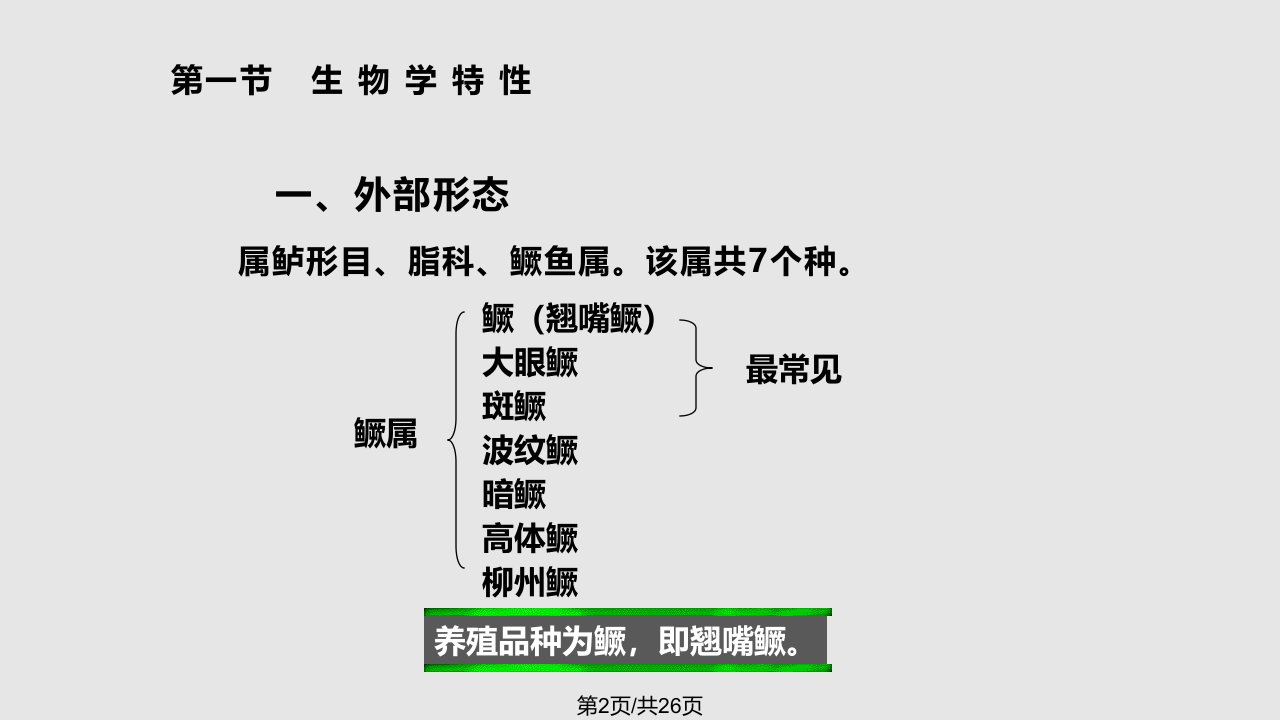 特种水产养殖学名特鱼类养殖