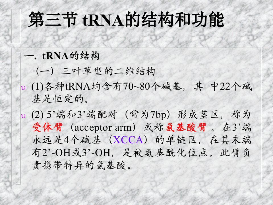 遗传密码和翻译系统