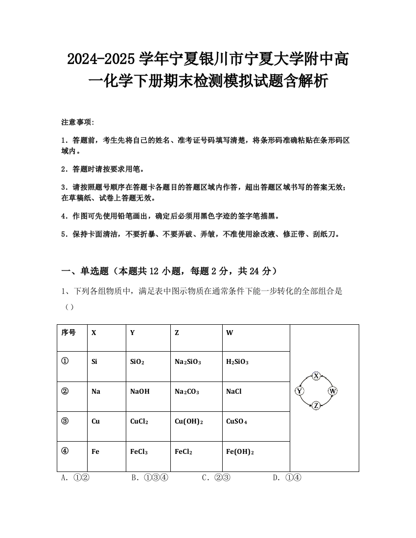 2024-2025学年宁夏银川市宁夏大学附中高一化学下册期末检测模拟试题含解析