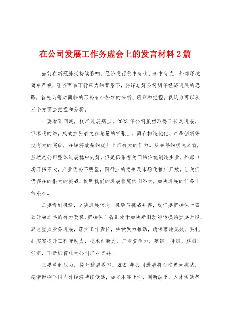 在公司发展工作务虚会上的发言材料