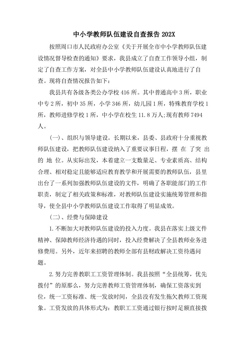 中小学教师队伍建设自查报告