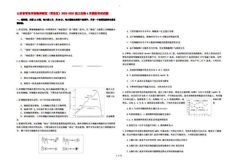 山东省青岛市西海岸新区(黄岛区)2022-2023高三生物4月模拟考试试题