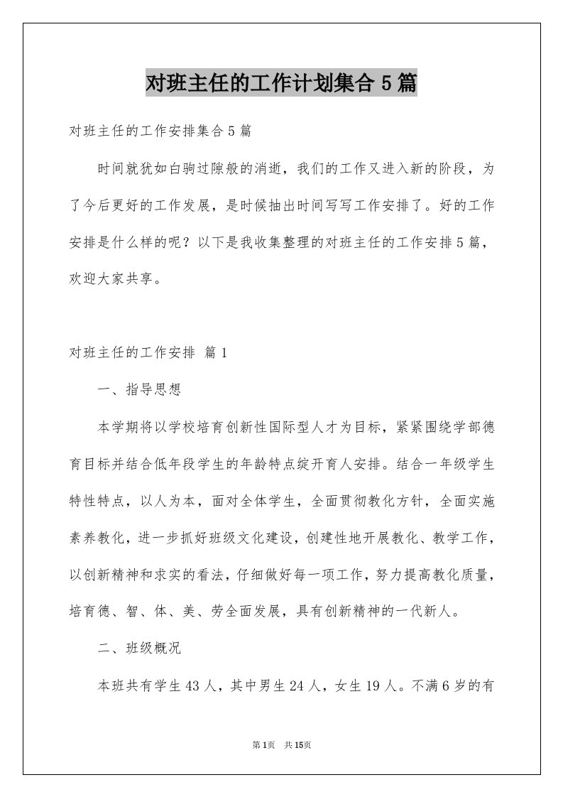 对班主任的工作计划集合5篇例文