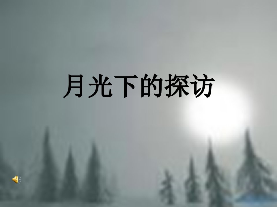 《月光下的探访》阅读理解ppt-课件（PPT讲稿）