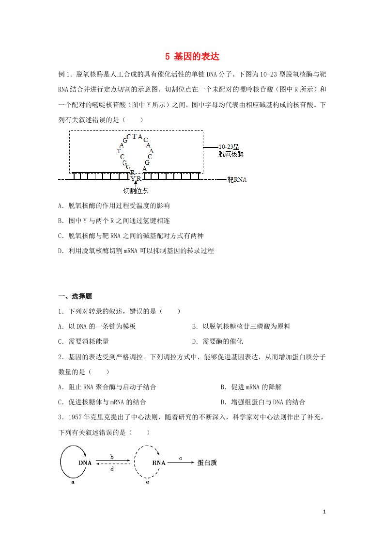 新教材2021_2022学年高一生物下学期暑假巩固练习5基因的表达