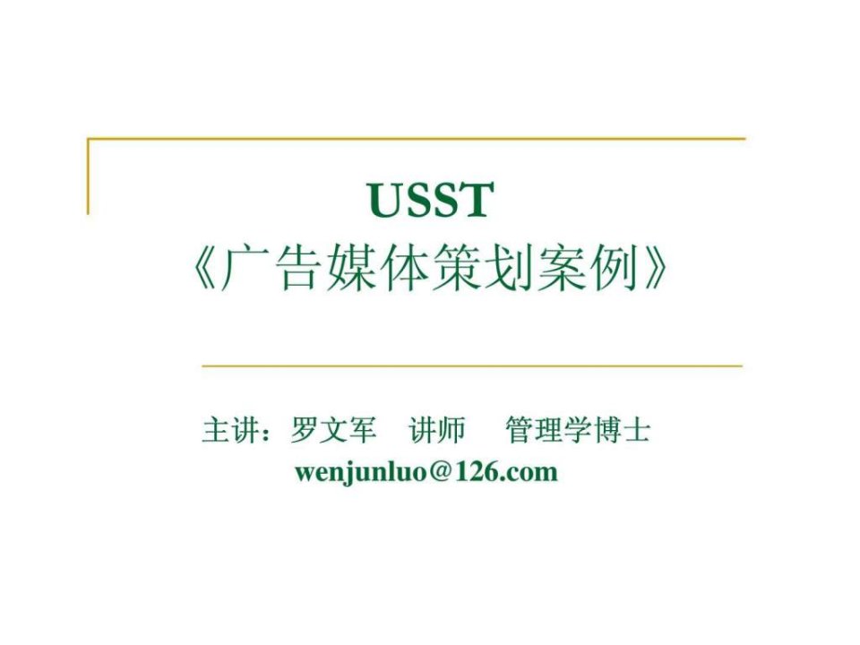 USST广告媒体策划案例22(1)