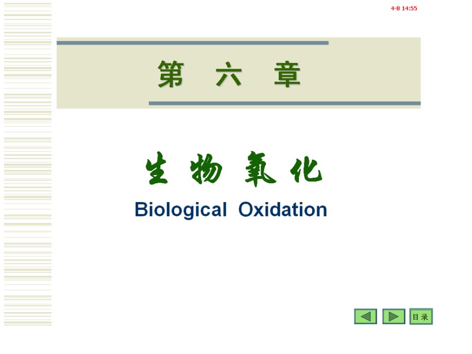 生物氧化公开课一等奖市赛课一等奖课件