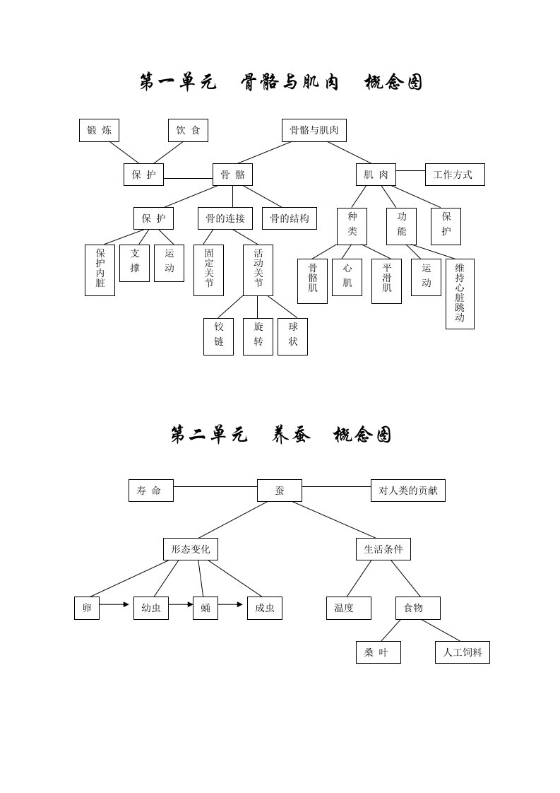 苏教版四年级下科学概念图