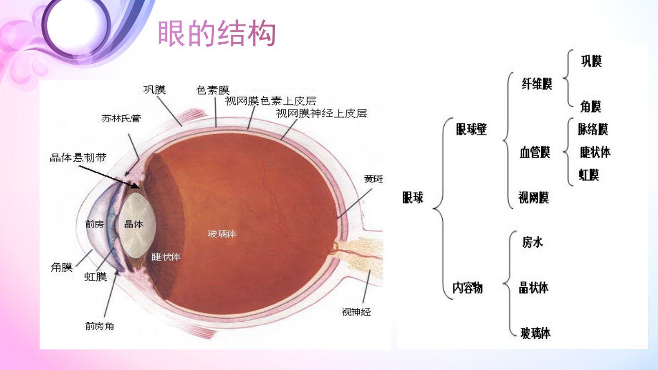 翼状胬肉的护理查房