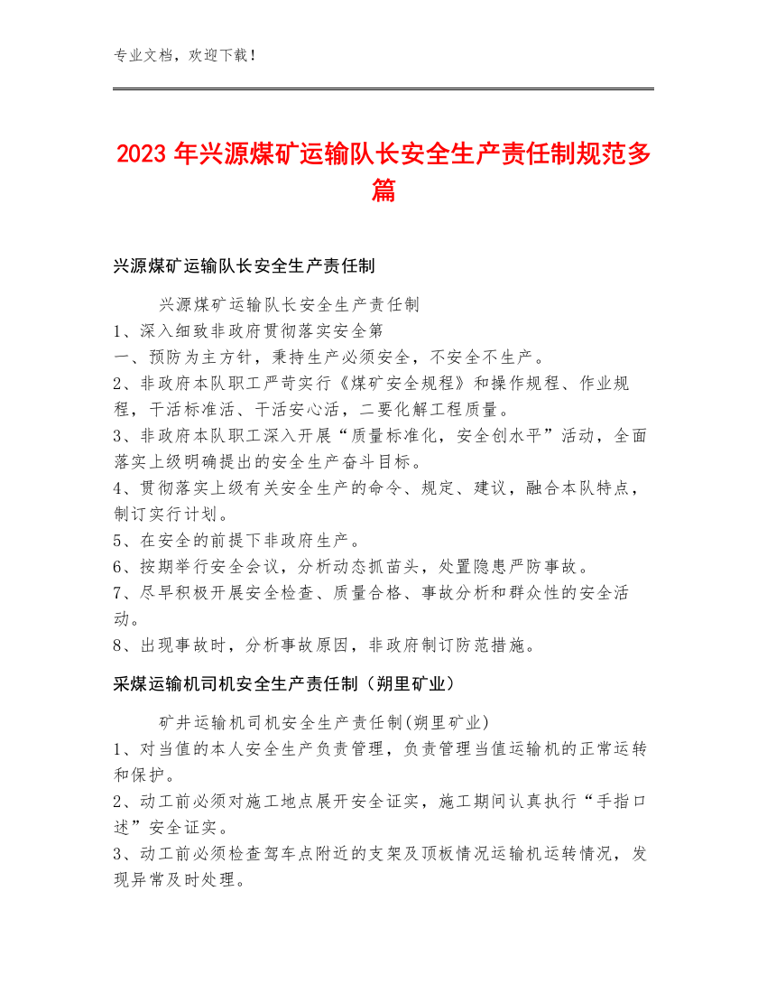 2023年兴源煤矿运输队长安全生产责任制规范多篇