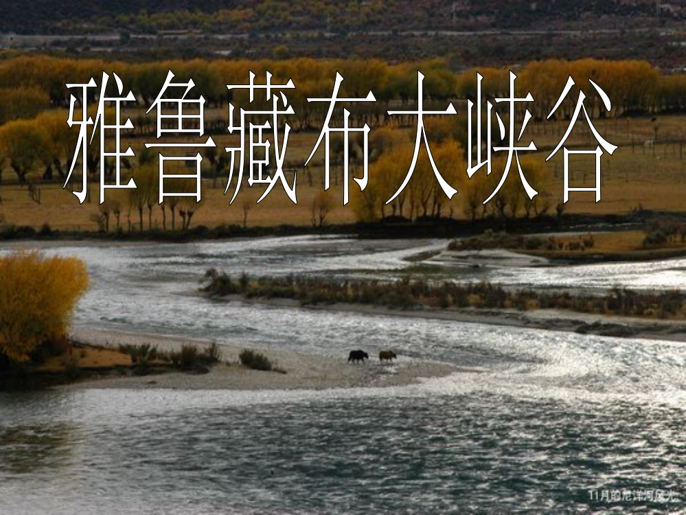 四年级语文上《雅鲁藏布大峡谷》课件