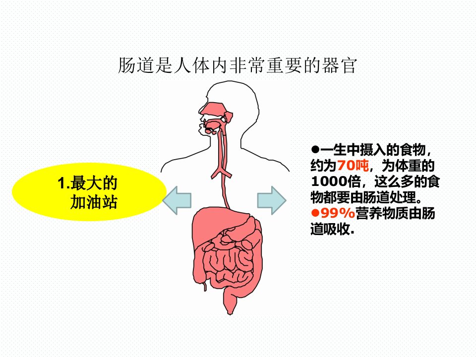 医学专题7月6日肠道健康科普讲稿