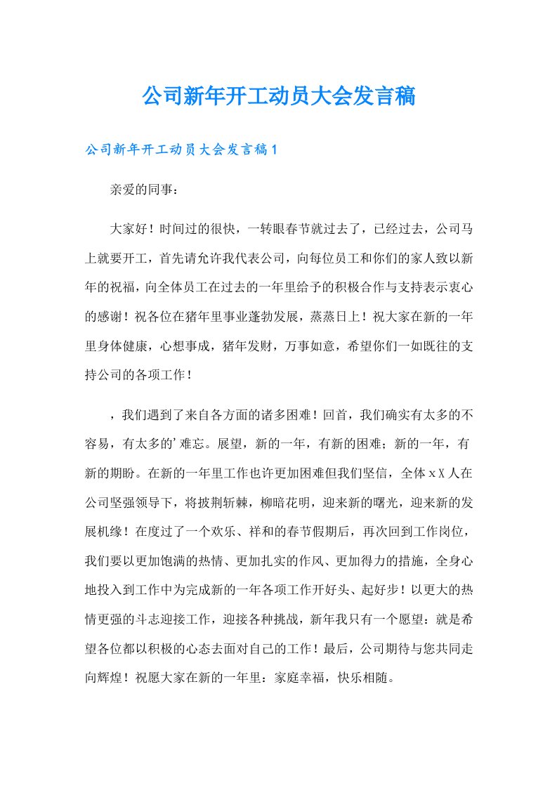 公司新年开工动员大会发言稿